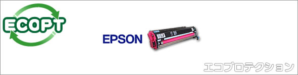 Epson WorkForce Pro WP-4595 DNF Original Epson C13T671000 Collecteur de Toner Usagé T6710